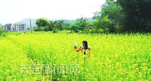 ����ʮ�����Ͳ˻�ʢ�� �����������˹���